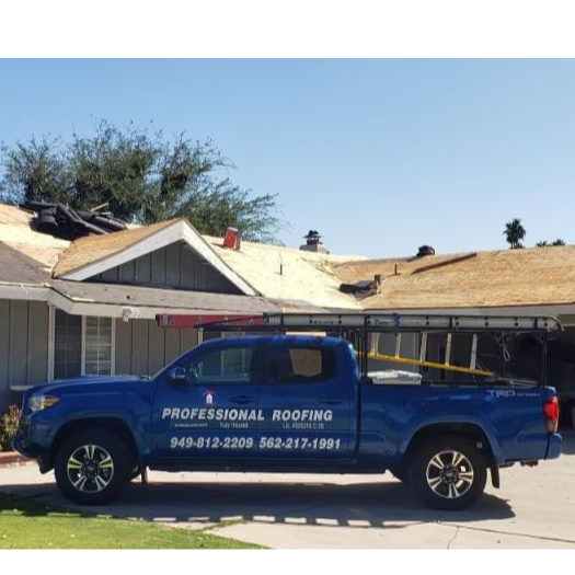 Professional Roofing